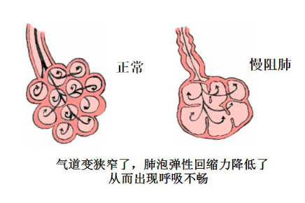 &#20048;&#31454;&#23448;&#32593;&#45;&#20048;&#31454;&#40;&#20013;&#22269;&#41;&#19968;&#31449;&#24335;&#20307;&#32946;&#26381;&#21153;
