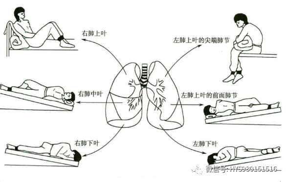 &#20048;&#31454;&#23448;&#32593;&#45;&#20048;&#31454;&#40;&#20013;&#22269;&#41;&#19968;&#31449;&#24335;&#20307;&#32946;&#26381;&#21153;