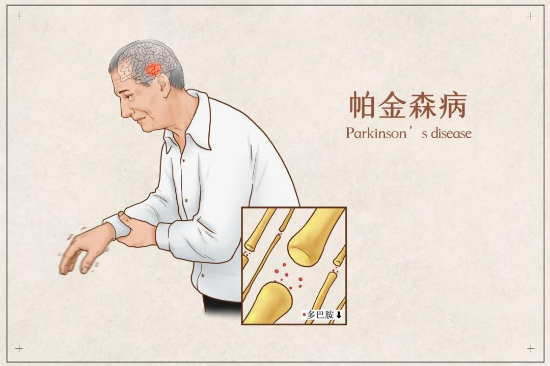 &#20048;&#31454;&#23448;&#32593;&#45;&#20048;&#31454;&#40;&#20013;&#22269;&#41;&#19968;&#31449;&#24335;&#20307;&#32946;&#26381;&#21153;
