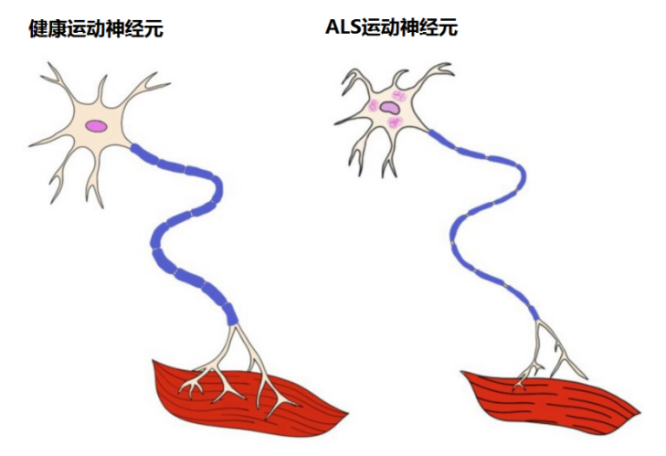 &#20048;&#31454;&#23448;&#32593;&#45;&#20048;&#31454;&#40;&#20013;&#22269;&#41;&#19968;&#31449;&#24335;&#20307;&#32946;&#26381;&#21153;