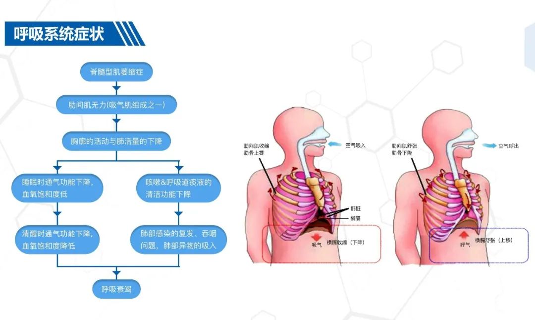 &#20048;&#31454;&#23448;&#32593;&#45;&#20048;&#31454;&#40;&#20013;&#22269;&#41;&#19968;&#31449;&#24335;&#20307;&#32946;&#26381;&#21153;