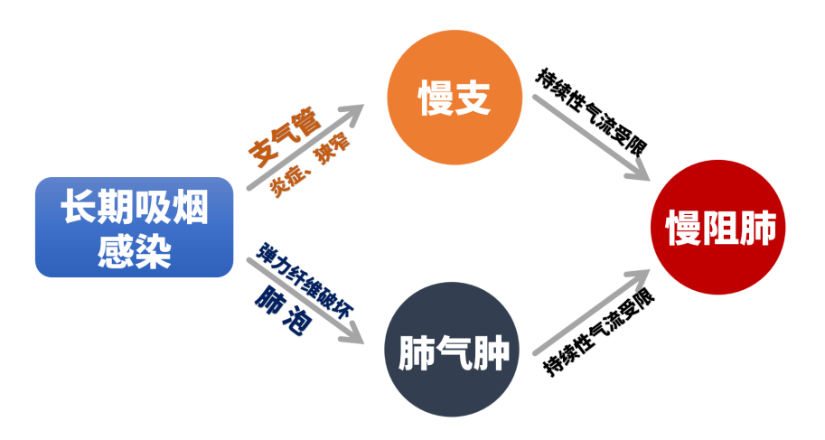 &#20048;&#31454;&#23448;&#32593;&#45;&#20048;&#31454;&#40;&#20013;&#22269;&#41;&#19968;&#31449;&#24335;&#20307;&#32946;&#26381;&#21153;